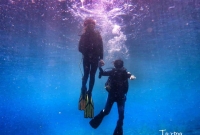 巴厘岛潜水之旅，有些思念那些山、那些水、那些人
